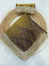 Kt 3013 Soft Two Tone Space Silk Saree